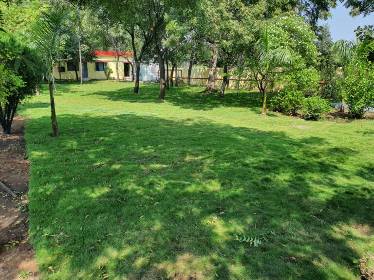 garden-2.jpeg