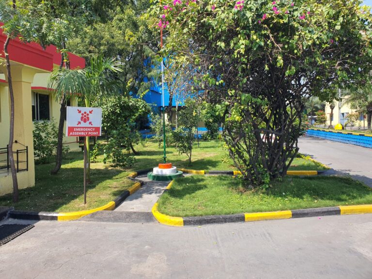 garden-view.jpeg